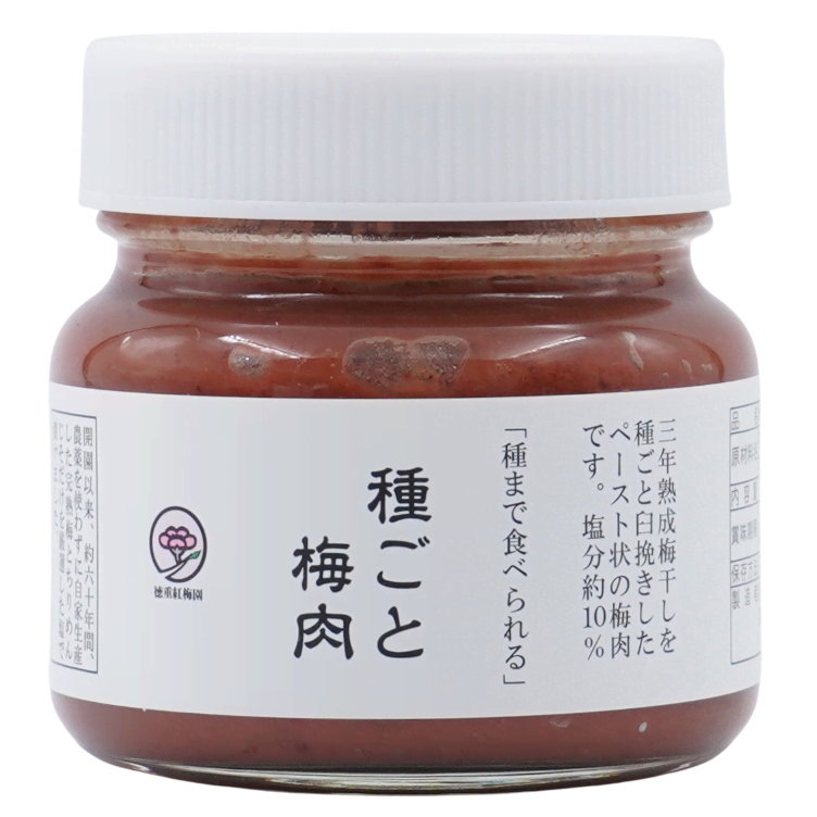 Plum paste big