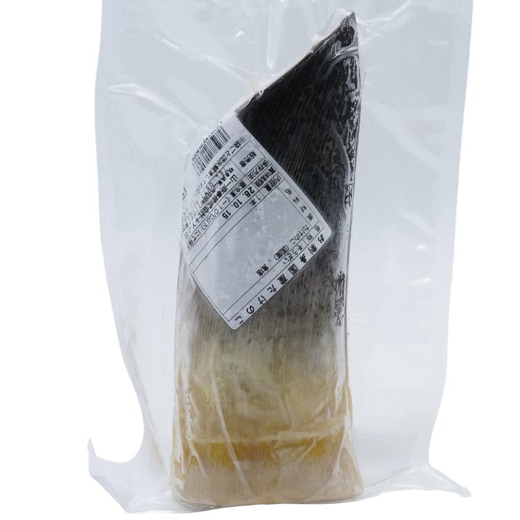 Bamboo-Takenoko TK from Japan