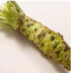 Wasabi Azumino fresh from Shizuoka Japan