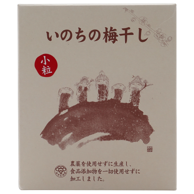 Umeboshi - Pflaumen in Salz
