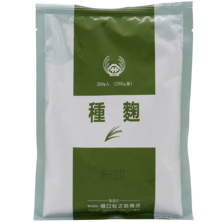 Koji-kin-Aspergillus oryzae Sporen gross